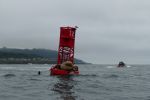PICTURES/Whale Watching - Depoe Bay/t_Buoy & Seals7.JPG